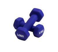 Endless Neoprene Coated Fixed Dumbbell for Gym Exercises | Pair of 1 Kg (2 * 2.2 LB) | Material : Iron with Vinyl Coat | Weights for Women and Men, Sky blue