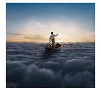 Endless River