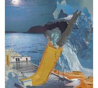 Endless Wellness - Was Für Ein Glück (180g Lp)