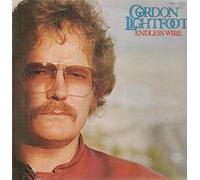 Endless Wire [Vinyl LP]