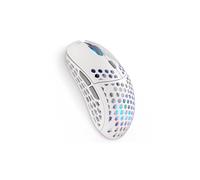 ENDORFY LIX OWH Wireless EY6A010 souris Jouer Ambidextre RF Wireless + USB Type-C Optique 16000 DPI