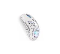 ENDORFY LIX OWH Wireless EY6A010 Souris RF sans fil + USB Type-C optique 16000 DPI
