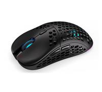 ENDORFY LIX souris Jouer Ambidextre RF Wireless + USB Type-C Optique 16000 DPI