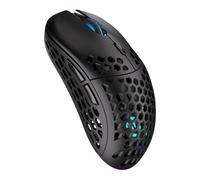 ENDORFY LIX Wireless, Souris de Jeu légère sans Fil, capteur PixArt PAW3335, 16 000 DPI, Kailh GM 4.0 | EY6A008