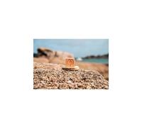 ENDRO COSMÉTIQUES-Shampoing solide et naturel "Granit rose" cheveux normaux à secs - 100g