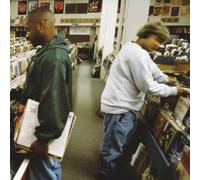 Endtroducing…