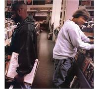 Endtroducing Vinyle