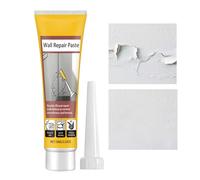 Enduit De Réparation Pour Les,100g Remplisseur de Trous pour de Plâtre à Séchage Rapide | Enduit De Réparation Pour Plafond,pour Salon Chambre Salle de Bain Cuisine Balcon Cave