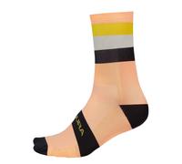 Endura - Chaussettes BANDWIDTH - Homme (GT42278)