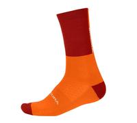 Endura - Chaussettes cyclisme BAABAA - Femme (GT25859)