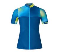 Endura FS260 Maillot de cyclisme pour homme Imprimé Barra Bleu Taille M
