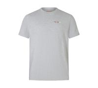 Endura T-shirt Ltd Graphic Tee gris