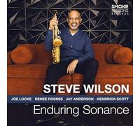 Steve Wilson - Enduring Sonance [Compact Discs]