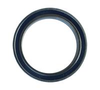 Enduro Bearings Roulement à Billes Rainuré 6704 20 mm x 27 mm x 4 mm Typ 1