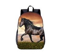 ENEN Sacs à Dos pour Enfant, Cheval Cartable pour Garçons et Filles Ados Mignon Réglable Sac à Livres Cadeau Rentrée Scolaire Cadeau Rentrée Scolaire Étudiant (Cheval Noir,45x31x14cm)