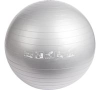 ENERGETICS Basic Balles d'exercices Fitness Silver 65