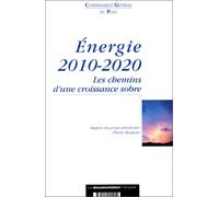 Énergie 2010-2020: Les chemins d'une croissance sobre, rapport du groupe plénier