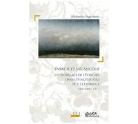 Energie Et Mélancolie - Les Entrelacs De L'écriture Dans Les Notebooks De S.T. Coleridge Volumes 1, 2 Et 3