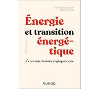 Énergie et transition énergétique: Économie, histoire et géopolitique