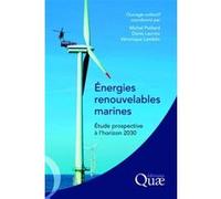 Energies Renouvelables Marines - Etude Prospective À L'horizon 2030