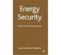 Energy Security: Visions from Asia and Europe