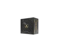 CYBERG II 650 W | Bloc d'alimentation ATX 3.1 non modulaire | PCIe 5.1 | 80 Plus Gold | Ventilateur SB silencieux 120 mm | Condensateurs 105 °C jap | ERV650G-AHG-NAC