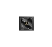 Enermax Alimentation modulaire ATX REVOLUTION III 1000W 80 Plus Gold (Noir)
