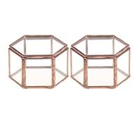 ENERRGECKO 2X Geometrique en Verre Terrarium Boite A Boite en Verre Plante Succulente Pot Hexagone Forme