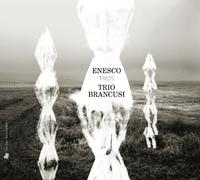 Enesco, G. - Trios avec Piano Serenade Lointaine [Import]