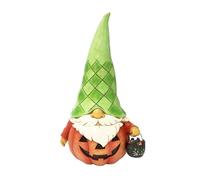 Enesco Jim Shore Heartwood Creek Figurine de Nain de Citrouille d'halloween, 17 cm, Multicolore