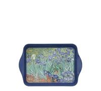 Enesco Vide Poches Metal Iris