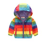 Enfant Bébé Dinosaure Arc-en-ciel Camouflage Fermeture éclair Veste Coupe-vent avec Capuche Trench Manteaux légers pour enfants Coupe-vent Vêtements d'extérieur décontractés Veste d'hiver pour enfants