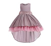 Enfant Fille Robe de Soirée Sequins Bowknots Tulle sans Manches Anniversaire Noeud Papillon Robe pour La Fête Robes Formelle Fête D'anniversaire Mariage Demoiselle D'honneur Fille Âge pour 3-9 Ans