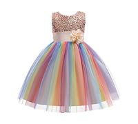 Enfant Fille Robe de Soirée Sequins Bowknots Tulle sans Manches Anniversaire Noeud Papillon Robe pour La Fête Robes Formelle Fête D'anniversaire Mariage Demoiselle D'honneur Fille Âge pour 3-9 Ans