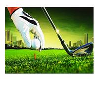 Enfants Puzzles en Bois Adultes Jeu DIY Cadeau Exquis 1000 Pieces Jigsaw Puzzle - Golf on The Green