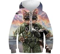 Enfants Sweat à Capuche 3D Chihuahua Dog18 Pull Filles Garçons Sweat à Capuche Pull Mode Jeunesse Vêtements de Sport Décontracté Manches Longues, Cat Pilot in The Air Force1, 13-15 ans