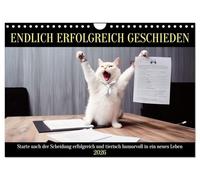 Enfin un divorce réussi, Version française (Calendrier mural 2026 DIN A4 portrait), Calendrier CALVENDO mensuel