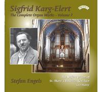 Engels, Stefan - Complete Organ Works Vol7: Chaconne [Import]