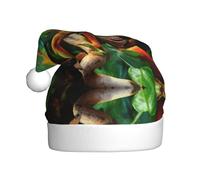 ENGhjes Chapeau de Père Noël mignon imprimé caméléon en peluche unique et élégant pour adultes femmes hommes chapeaux de Noël chapeaux de Noël chapeaux de fête de Noël