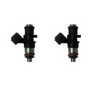 Engine Injector 2 Injecteurs Carburant pour 0JYA-171000 pour CFMOTO pour CF1000 pour CF950 pour Zforce pour Uforce pour Z10950 pour Quad Injecteur Carburant