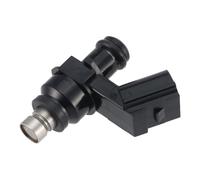 Engine Injector Buse Pulvérisation 10 Trous Injecteur Carburant 300 Cm3 pour CB300 13-15 pour XRE300 13-18 Injecteur Carburant