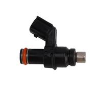 Engine Injector Injecteurs Carburant Topteng 77141023044 Compatibles avec Pièce Moto 250 2011-2012 Injecteur Carburant