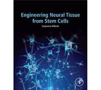 Engineering Neural Tissue From Stem Cell Stephanie Associate Professor Of Biomedical Engineering And Canada Research Chair In Biomedical Engineering Willerth, University Of Victoria (Auteur)