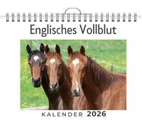 Englisches Vollblut: (Wandkalender 2026, Kalender DIN A4 quer, Monatskalender im Querformat mit Kalendarium, das perfekte Geschenk)