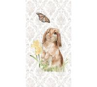 English Bunnies Collection B Poster Print - Jennifer Paxton Parker (33 x 61 cm)