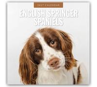 English Springer Spaniels 2027 Square Wall Calendar