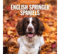 English Springer Spaniels - Calendrier mural carré 2026 Red Robin Publishing