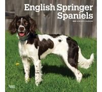 English Springer Spaniels | Calendrier mural mensuel carré 2025 30,5 x 61 cm | Sans plastique | BrownTrout | Animaux races de chiens