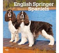 English Springer Spaniels | Calendrier mural mensuel carré 2026 30,5 x 61 cm | Sans plastique | BrownTrout | Animaux races de chiens