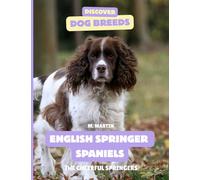 English Springer Spaniels: The Cheerful Springers